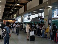 東京駅で東海道新幹線から東北新幹線に乗り換え。
乗り換え時間が10分しかなかったので、
駅弁屋祭には行けなかったけど、
JR東の新幹線ホームを堪能。

はやぶさの色、好きだな～。