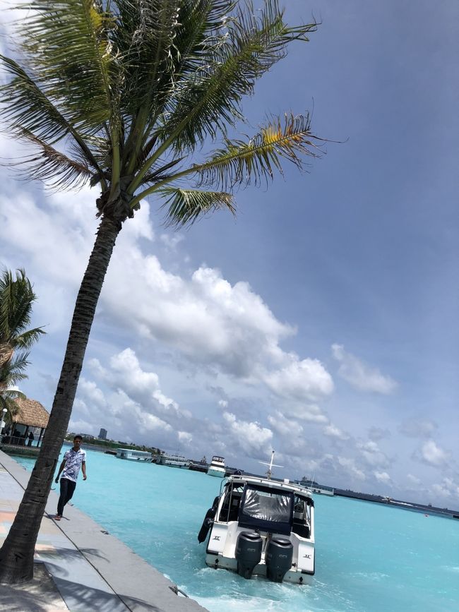 空港の港でこの青さ。ミルキーブルー！