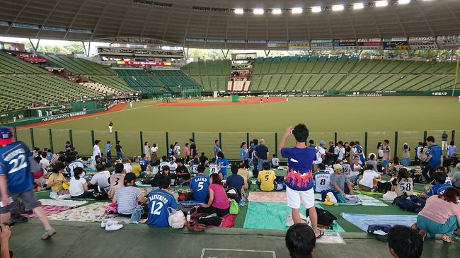 18年8月 西武ドームナイター観戦記 初めてのメットライフドーム 所沢 埼玉県 の旅行記 ブログ By みみききさん フォートラベル