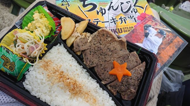 18年8月 西武ドームナイター観戦記 初めてのメットライフドーム 所沢 埼玉県 の旅行記 ブログ By みみききさん フォートラベル 18年8月 西武ドームナイター観戦記 初めてのメットライフドーム 所沢 埼玉県 の旅行記 ブログ By みみききさん フォートラベル