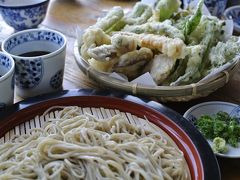 お食事が出てくるまでちょいと待ちましたが、、、
さぁ、召しあがれ♪

野菜の天ぷら（1000円）がボリューミーで、びっくり！
サクサクっと揚がって、サイコーに美味です！
お蕎麦も美味しゅうございました！
