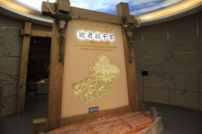 新疆ウイグル自治区博物館　図録（貴重品） 新疆ウイグル自治区博物館 図録（貴重品） 新疆ウイグル自治区博物館