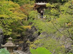 改めて硅灰石の上に建つ多宝塔を見上げてみた。

やはり美しい景観。見に来てよかった。

ただ、改修中で見られないものも多かったので、是非再訪したい。
