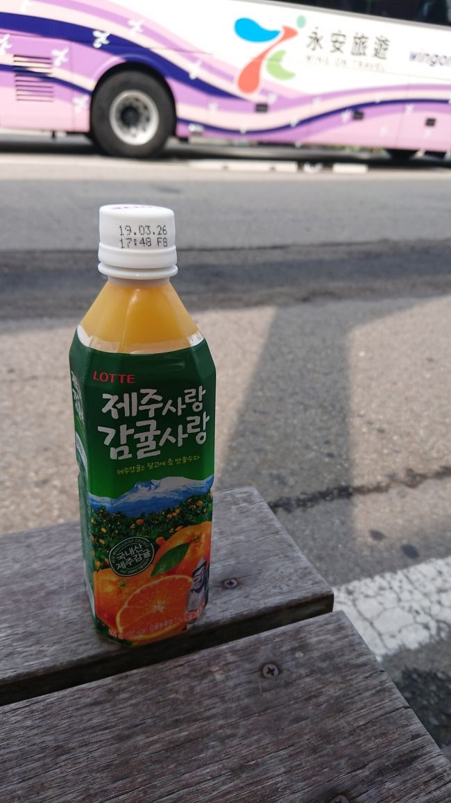 臨津閣で飲んだ済州のみかんジュース