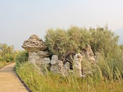 Mono Lakeの見所の一つはBlack Point。キノコ岩などが見れる。