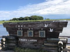 白鳥が見たいと愛方がつぶやいていたので、白鳥で有名な濤沸湖に寄ってみたが、夏には居るわけもなかった…