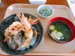 車エビ丼　ちょっとふにゃとしてたけど、味はよかったです。
長命草お浸し　どくどくの味　まずいです
アーサの味噌汁　おいしいです。