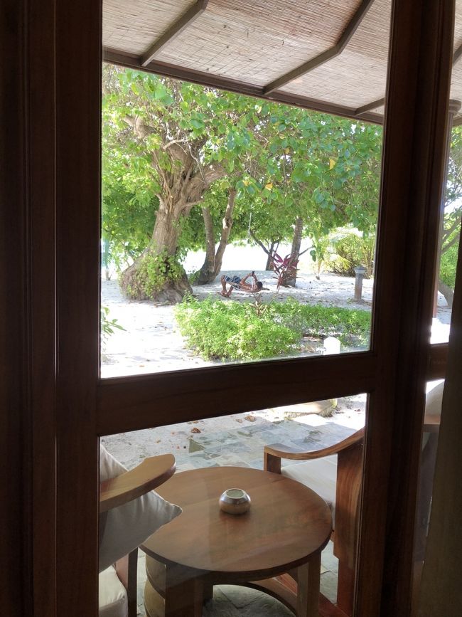 部屋からの景色。茂みの向こうはすぐ海