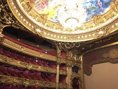 オペラ座ガルニエ

劇場の天井はこんな感じに豪華

富裕層の社交場だったそうです