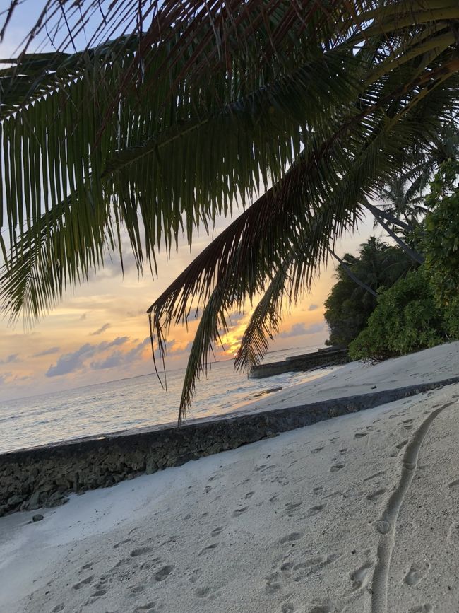 早朝。部屋の前を散歩。