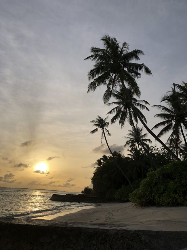 朝日が昇ってきました