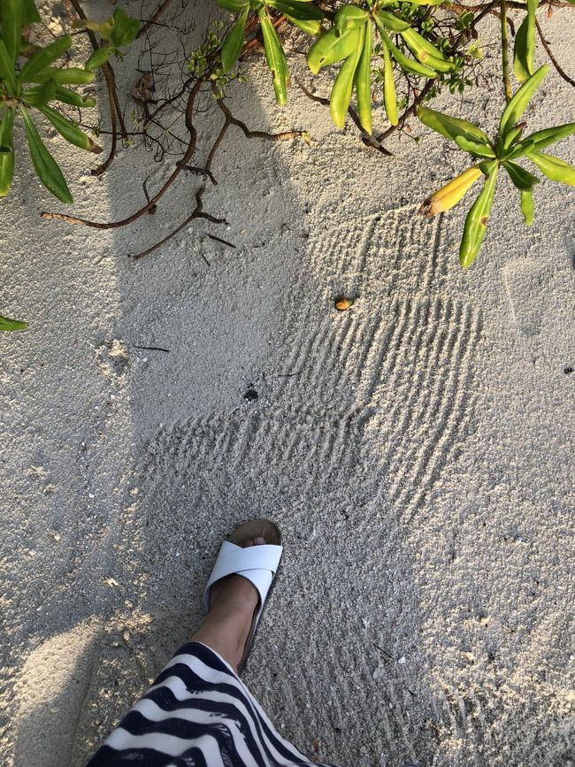 早朝からスタッフがブラシで砂模様をつけていました。竹富島みたい。