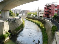 渓谷から出た水流は帷子川にそそぐ