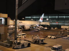 成田空港までは、最寄の駅からリムジンバスで行きました。
18:00位に着きました。