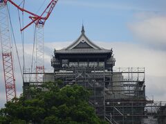 加藤清正が築いた熊本城。甚大な被害に見舞われましたが、日本の高度な技術と地元の方々らの熱意が、熊本城の雄姿を蘇らせようと頑張っています。
今この時も修復工事の真っ最中でした。
