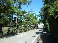 翌日、彦根城へ行きました。８時くらいですが、刺すような日差しです。