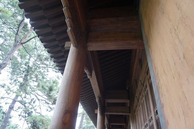 この建物に使われている柱は今だととても高いものだそうで、<br />虫よけ効果のある木だそうです。