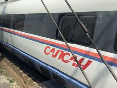 モスクワからサンクト・ぺテルブルクまで「サプサン号」特急電車での旅

ロシア鉄道のHPで日本でチケットを購入し行きました。




