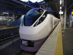 品川駅に到着。

母方の実家がいわきだったので常磐線の特急はよく使ったのですが、今回初めて上のを過ぎて品川で降りてみました。やっぱり北の玄関口、上野駅が始発/終点でないのは、心情的にはまだついて来れません。

しかし品川駅が始発駅になると、羽田空港とかから来る人は便利でしょうね。ただそれならせめてラウンジ的な施設があっても良いのになぁと思ってしまいます。

今夏は18きっぷがあと1回分残っています。近郊のどこかをぶらつくつもりですが、さてどこ回ろうかなぁ