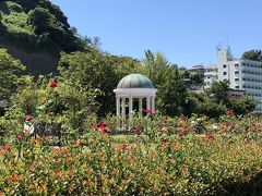 ヴェルニー公園はバラも見どころ。
時期は過ぎていたけれど、暑い日差しの中、咲いているバラもありました。

今は美しい公園となっていますが、かつては、夜は通りたくないという場所でした。
ヴェルニー公園として生まれ変わり、お気に入りのコースとなりました！