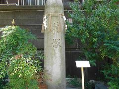 綱敷天神社 御本社