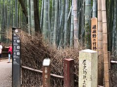 ここが竹林の道であることを示す「嵯峨野の竹林」という標識がありました！
標識の隣の竹には観光客が彫ったであろうと思われる文字が...
まったくなんてことをするんでしょう！
マナー悪すぎ．