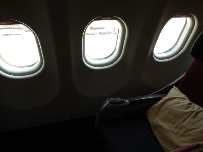 　ギリギリ窓3枚確保。前から2列目。<br /><br />　所が睡眠タイムになっても前の人がブラインドを下ろさず<br /><br />　眩しくてよく眠れなかった。アイマスクしたけど何かチクチクして<br /><br />　すぐ外した。<br /><br />　