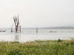 ナイバシャ湖