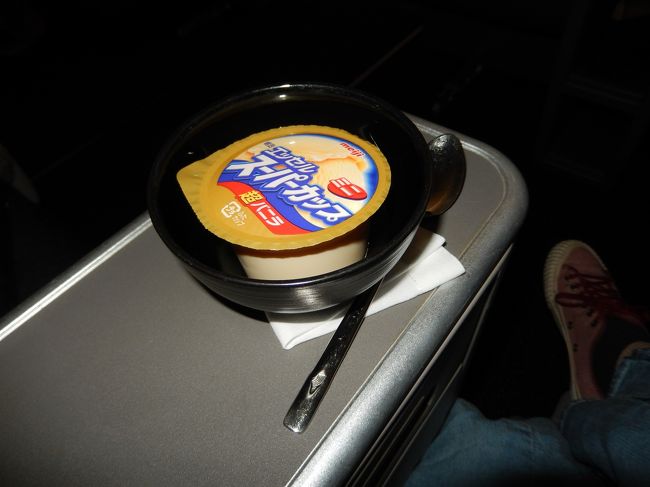 <br />　着陸前の軽食はいかがでしょうかと言われたが、お腹が空いておらず<br /><br />　ダメもとでハーゲンダッツを所望したが、ビジネスクラスにはありませ<br /><br />　と。ハッとCAさん。そそくさと後方へ。<br /><br />　エコノミークラスのアイスを持って来てくれた。<br /><br />　GOOD JOB！ありがと。