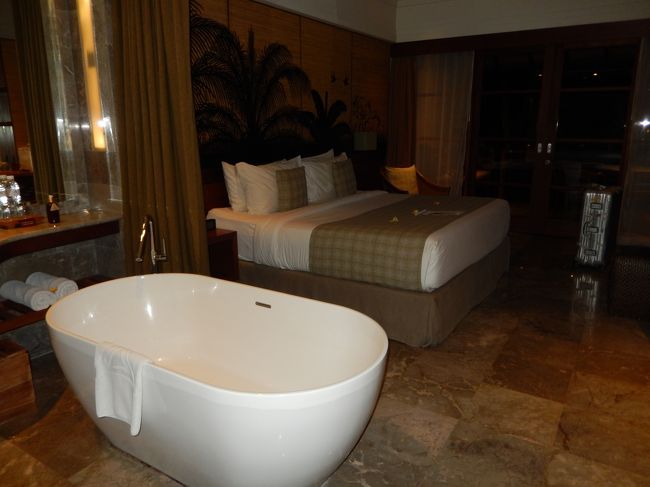 <br />　ベッドとバスタブはカーテンで仕切れます。<br /><br />　