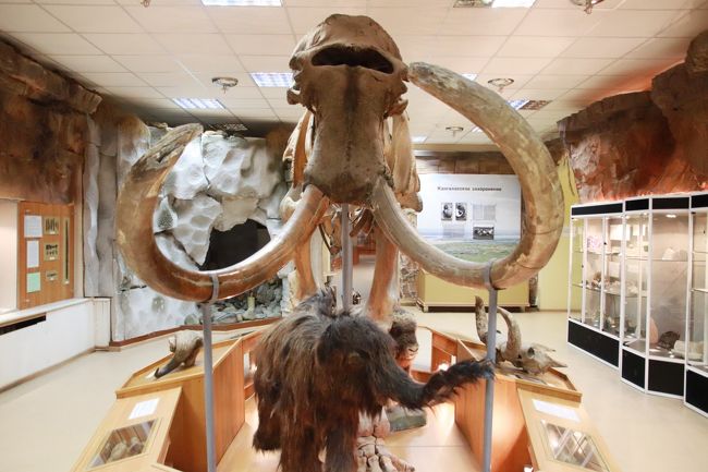 18年シベリア サハ共和国ヤクーツクへの旅 13 ヤロスラフスキー北方民族歴史 文化博物館 前編 セミクジラとマンモスの全身骨格から始まって ヤクーツク ロシア の旅行記 ブログ By まみさん フォートラベル