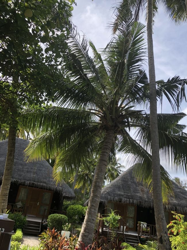 プールに近いガーデンヴィラ