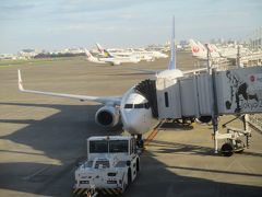 飛行機での移動