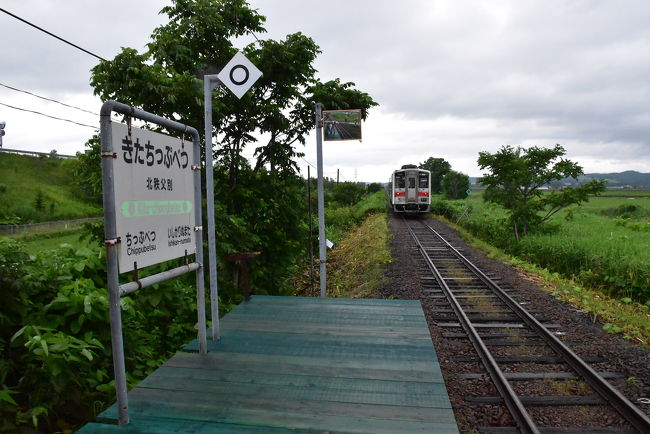 留萌本線 秘境駅 北秩父別駅ジオラマほか 全4点セット 留萌本線 秘境駅 北秩父別駅ジオラマほか 全4点セット 留萌本線