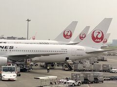 機内食をパスして爆睡。
あっという間に到着。

一人だったけど、一人じゃなかったジャカルタ。
出会いに感謝。
みんな　元気でねーーー！！
バイバーーーーイ！！！！


メモ
今回、特典航空券でジャカルタへ行ったのですが、
予約時、国内線乗り継ぎ便、おすすめ最短便ではなく
余裕を持って次の便にしていたのですが、やっぱり最短便がいいな～と
変更したくて問い合わせると、一度すべて予約をキャンセルしてから、となり
それはダメよ～、行けなくなっちゃう、ということで
そのままにしていた。

当日、もしかして？と思って成田の国内線乗り継ぎカウンターで問い合わせると
羽田でお願いしますと。
そして羽田に到着してから問い合わせると、特典航空券の場合、変更は
できない、とのことでした。
了解！今後も気をつけて、よく考えて予約します！
