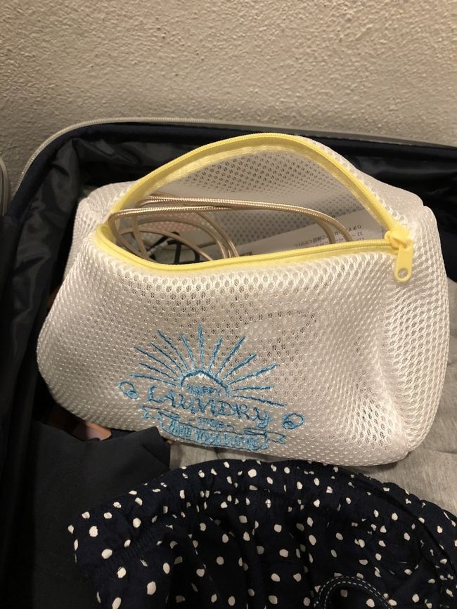 ダイソーで買ったこの洗濯ネット。厚みがあるので充電ケーブルや変圧器入れにピッタリでした