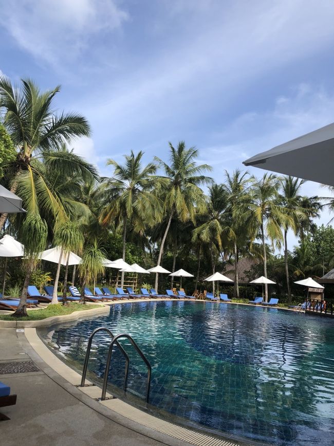 キレイで素敵なプールでした