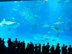 沖縄美ら海水族館