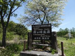 霧ヶ峰高原