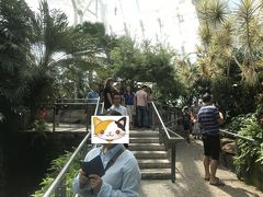 Butterfly Conservatory２度目のママさん