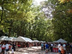 南に進んで下鴨神社糺の森に来ました。今回の旅行もうひとつの目的、「下鴨納涼古本まつり」が開催されています。
本がたくさん、人もたくさんです！