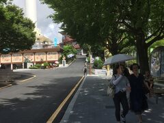 釜山タワーのある龍頭山公園は市民の憩いの広場です。