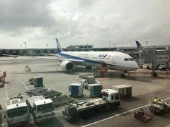 飛行機での移動