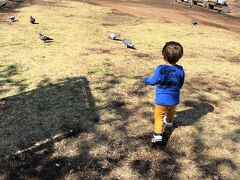 08：湘南台公園
2018年3月26日訪問

湘南台文化センターこども館がお休みだったので、近くにある公園に行きました。
広くて遊具もあってなかなか良かったです。
息子は「まってー、まってー」とハトを追いかけまくってました。