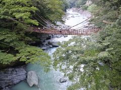 祖谷のかずら橋。初めて見ました。実にいい眺めです