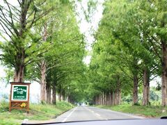 途中、大雨が降っているところがありましたが、ほんの10数分で抜けてしまい、マキノに着いたときは小雨程度。
まずは走りながら撮ってみます。
カミさんよろしく！