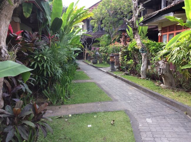 ガーデンビューのお部屋たち<br />通路がきれい