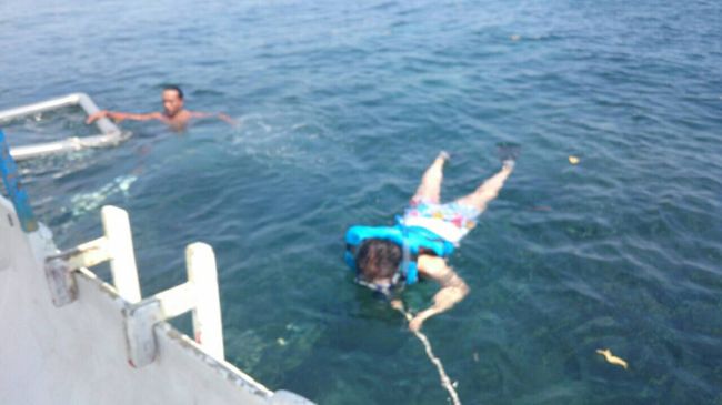 泳ぎの苦手な方は左側のパイプにつかまるか、船から流したロープに<br />つかまってください。<br /><br /><br />過去にバリ島でシュノーケルをした<br /><br />　コーラル島付近<br />　サヌール沖付近<br />　バリハイクルーズのレンボンガン島沖の浮島付近<br /><br />　と比べ、<br />　マングローブポイントは、沢山の魚がいました。<br /><br /><br />　素人でも、防水カメラがあれば、素晴らしい写真が撮れるでしょう。<br />　防水カメラを持ってなかった事が悔やまれます。<br />　<br /><br />　写真は、日本語ガイドさんが撮った貴重な数枚です。<br />　後からメールでもらいました。