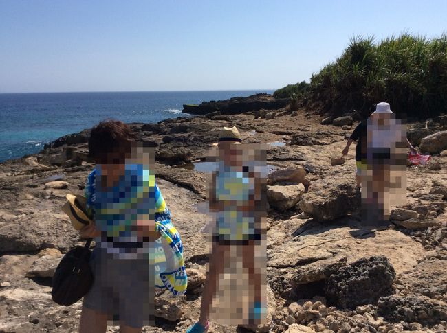 デビルズティアーズを崖上から見ました。<br /><br />干潮時で迫力がなかったのですが、<br /><br />島の北側（マングローブポイント）と<br />島の南側（デビルズティアーズ）<br /><br />では、こうも波のうねりと波の高さ大きさが違うのかと驚きました。<br /><br /><br />この岩場ですが、<br />写真撮影に気を取られて、海近くでバランスを崩して落ちる観光客が<br />相当数いるようです。<br /><br />なので、ご注意ください。<br /><br />「落ちたら助けられない」って、ガイドさんは言ってました。<br /><br />