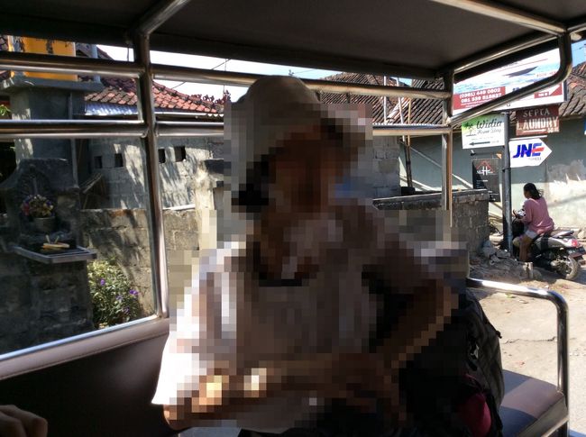 写真で見てはいましたが、<br /><br />トラックの荷台に幌かけて、椅子つけただけの車です。<br /><br />